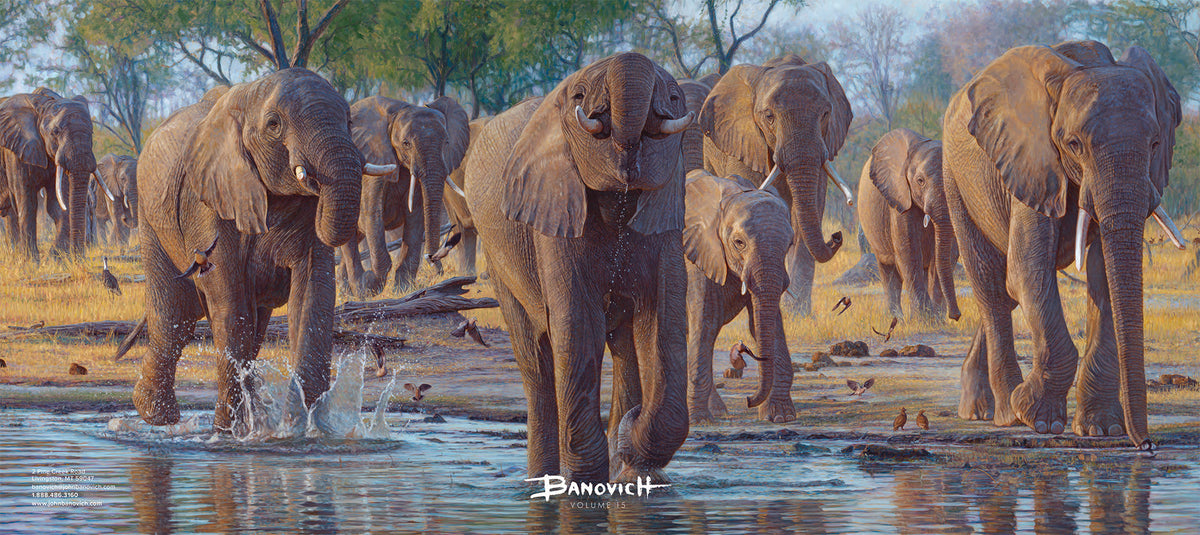 Banovich Catalog Volume 15 Banovich Art