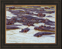 John Banovich - The Pod