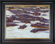 John Banovich - The Pod