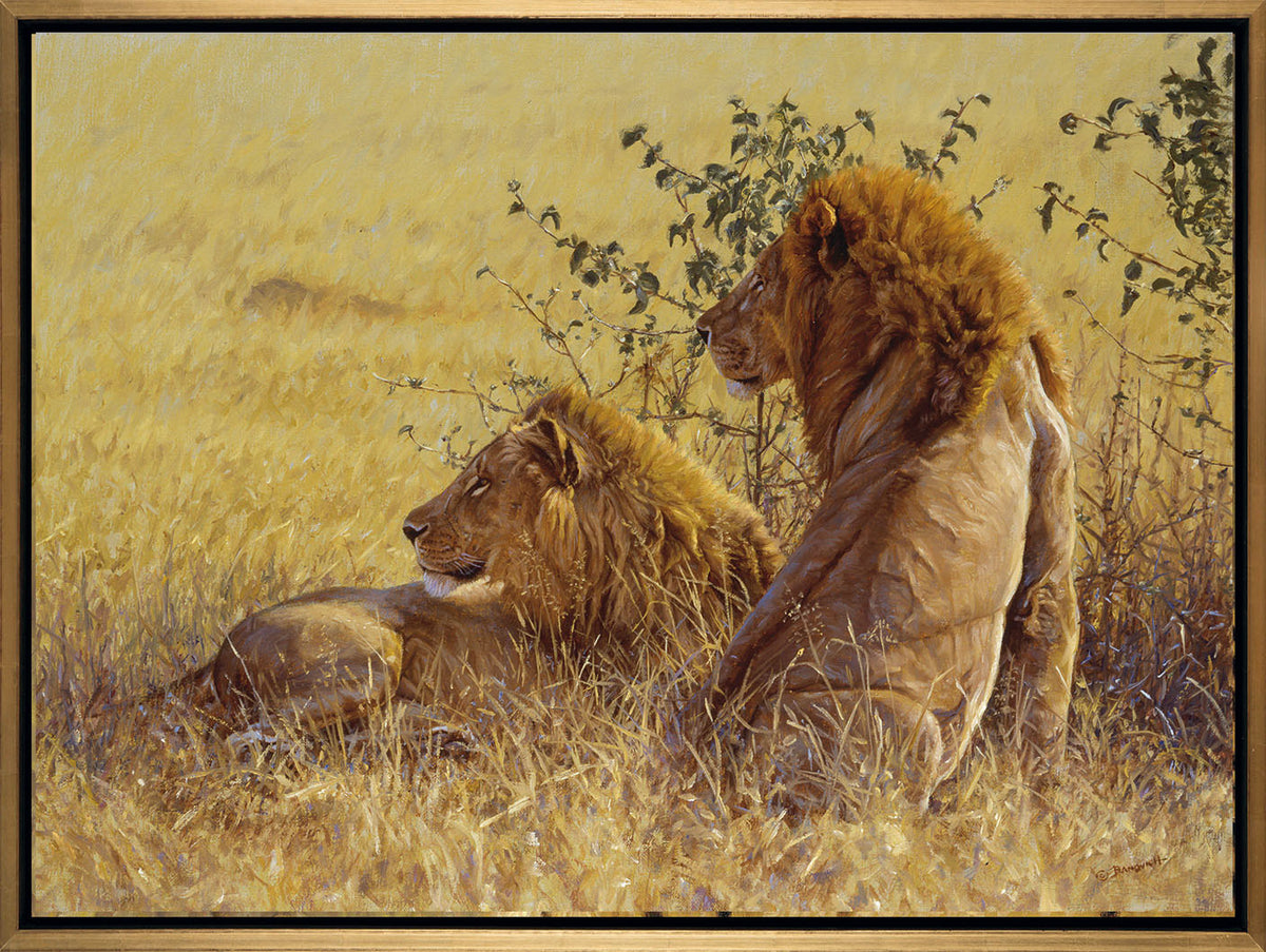 John Banovich In Their Prime II Banovich Art