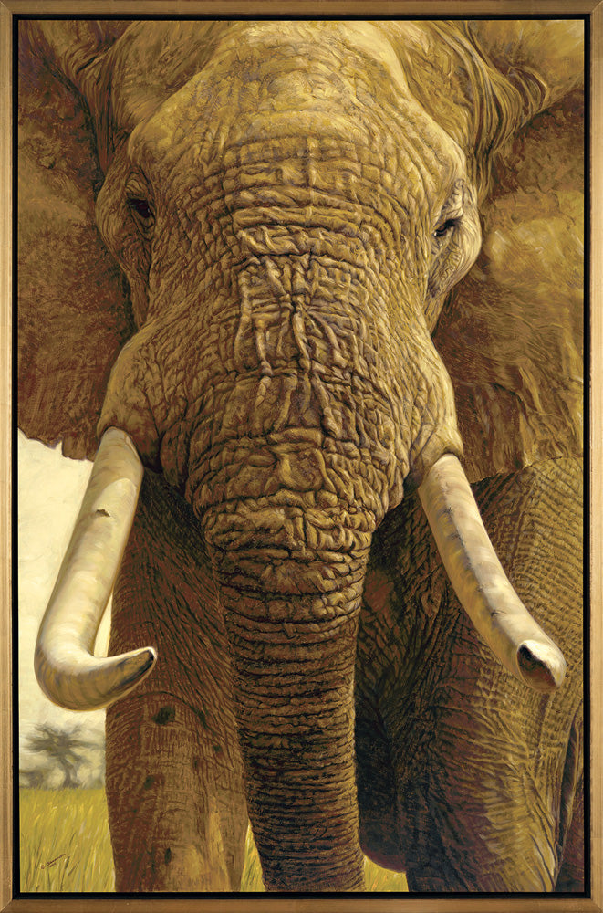 John Banovich - The Big Five Collection- Elephant – Banovich Art