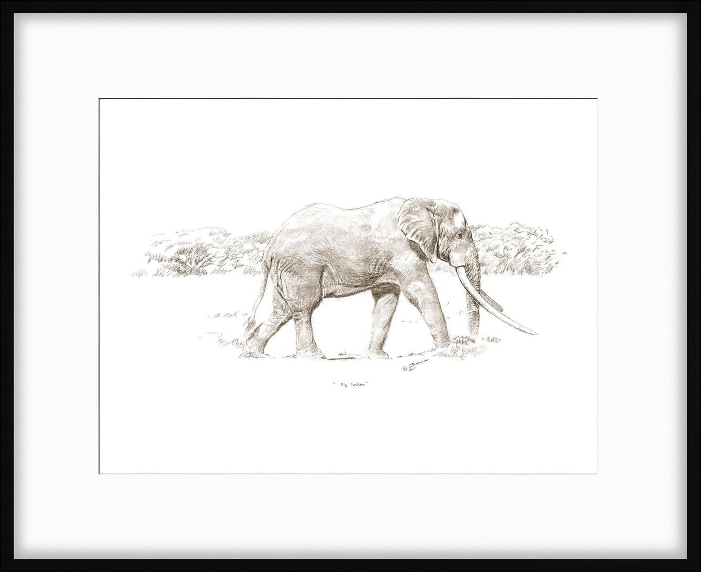 John Banovich - Big Tusker