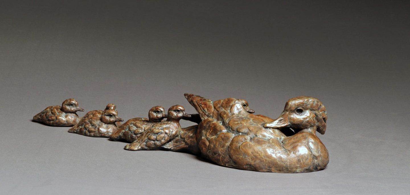 Stefan Savides - Ducks in a Row - Limited Edition Sculpture