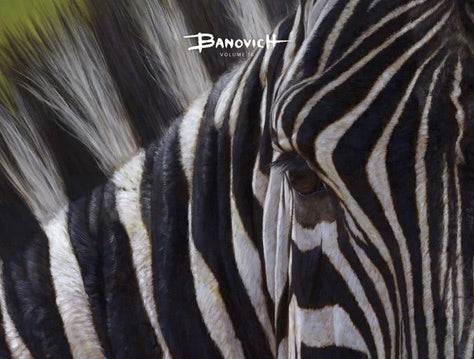 Banovich Catalog | Volume 16