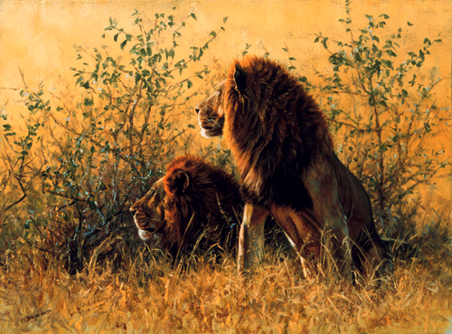 John Banovich - In Their Prime
