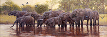 John Banovich - Big Drinkers of the Okavango