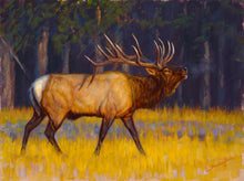 John Banovich - Bugle