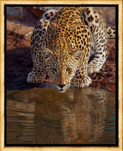 John Banovich - Fresh Water