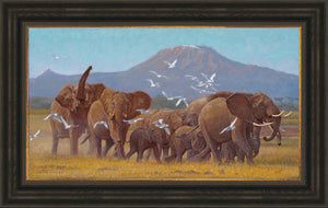 John Banovich - Land of Elephants
