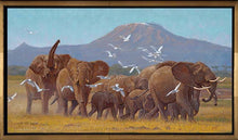John Banovich - Land of Elephants