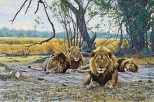 John Banovich - Still Kings