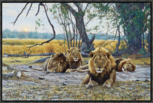 John Banovich - Still Kings