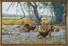 John Banovich - Still Kings