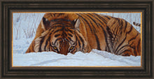 John Banovich - The Ambush