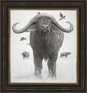 John Banovich - BOSS