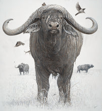 John Banovich - BOSS