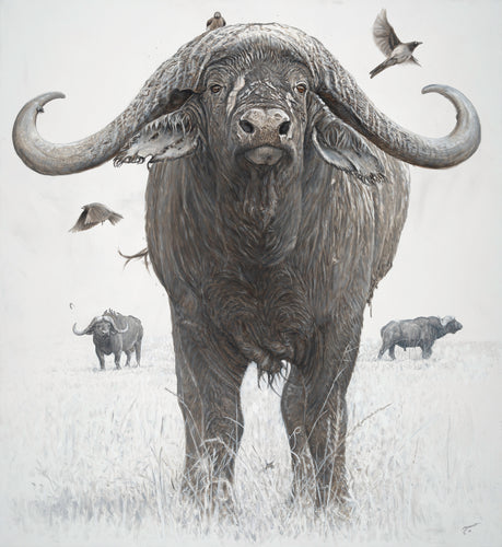 John Banovich - BOSS
