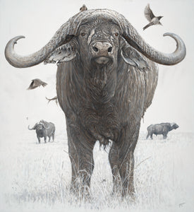 John Banovich - BOSS