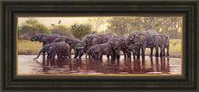 John Banovich - Big Drinkers of the Okavango