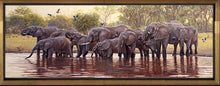 John Banovich - Big Drinkers of the Okavango