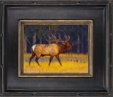 John Banovich - Bugle