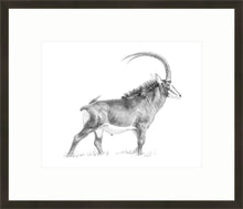 John Banovich - Sable Sketch