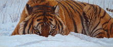 John Banovich - The Ambush
