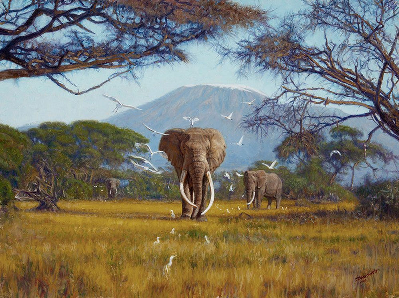 John Banovich - The Big Tuskers of Kilimanjaro – Banovich Art