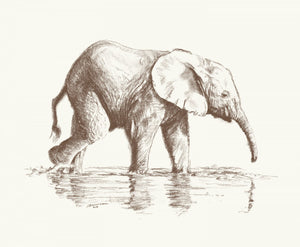 Young Elephant Original