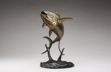 John Tolmay - Bait Ball Ballet