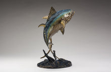 John Tolmay - Bait Ball Ballet
