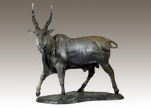 John Tolmay - Blue Bull of the Southern Grassland