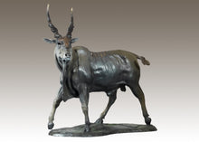 John Tolmay - Blue Bull of the Southern Grassland