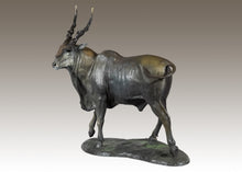John Tolmay - Blue Bull of the Southern Grassland