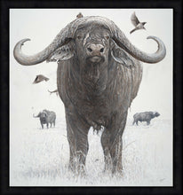 John Banovich - BOSS