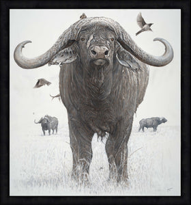 John Banovich - BOSS