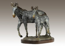 John Tolmay - Grevy's Zebra