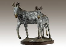 John Tolmay - Grevy's Zebra