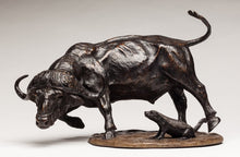 John Tolmay - Honey Badger Territory