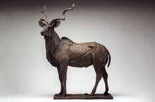 John Tolmay - King of Camouflage