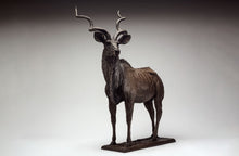 John Tolmay - King of Camouflage