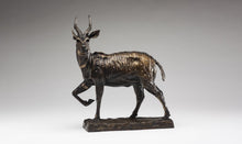 John Tolmay - Little Big Buck