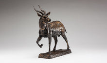 John Tolmay - Little Big Buck