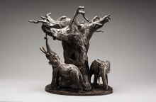 John Tolmay - Moonlight Under the Baobab