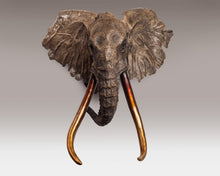 John Tolmay - Kilimanjaro Study