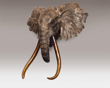John Tolmay - Kilimanjaro Study