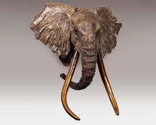 John Tolmay - Kilimanjaro Study