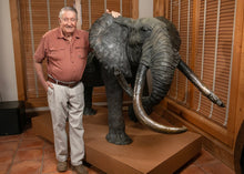 John Tolmay -The Gwase Bull