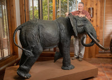 John Tolmay -The Gwase Bull
