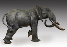 John Tolmay -The Gwase Bull